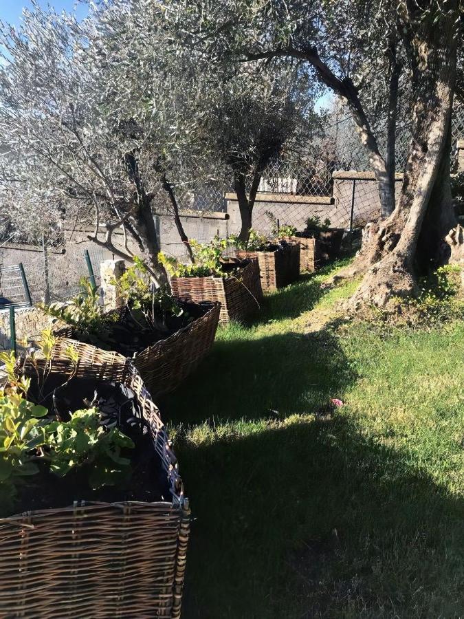 Agriturismo Le Pale 2 Swimming Pool And Parking Bogliasco Bagian luar foto