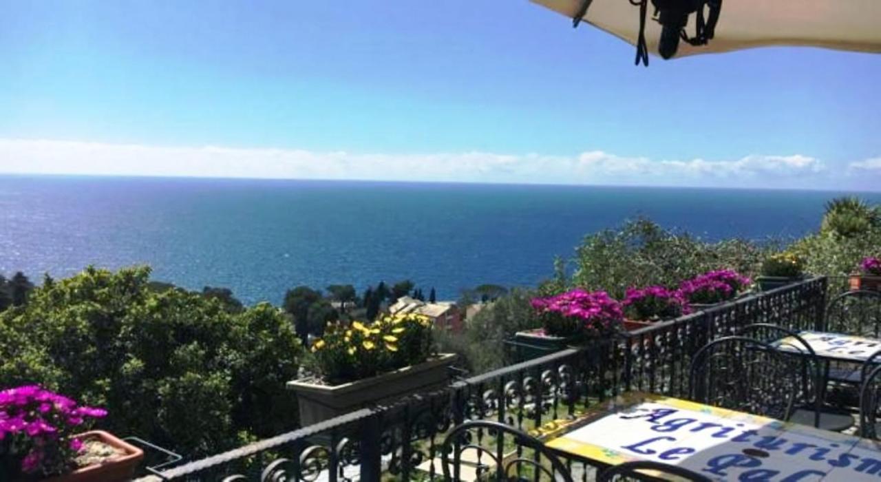 Agriturismo Le Pale 2 Swimming Pool And Parking Bogliasco Bagian luar foto